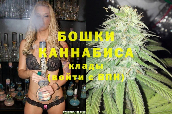 spice Алексин