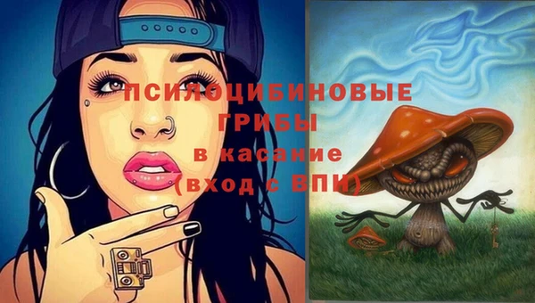 стаф Алексеевка