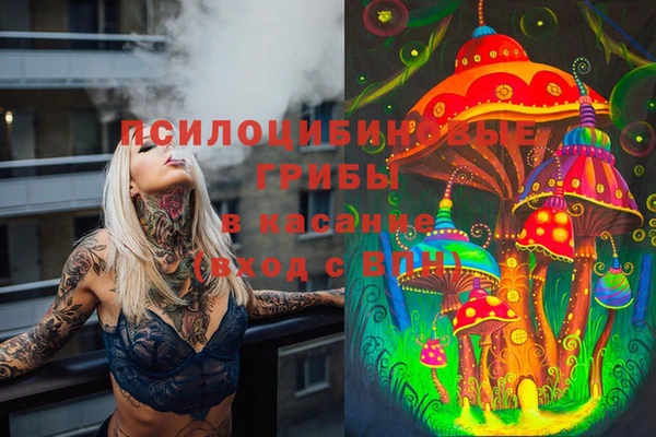 spice Алексин