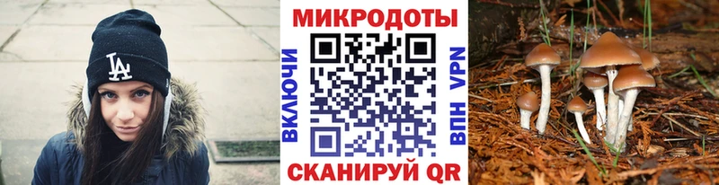 Псилоцибиновые грибы ЛСД  закладки  Игра 